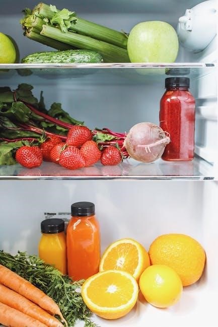 dometic fridge error codes pdf